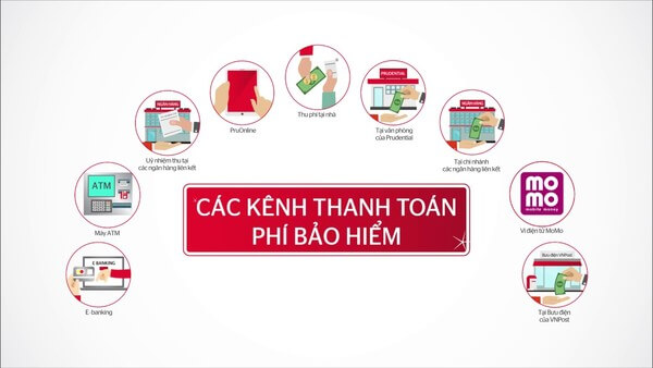 9 Cách thanh toán tiền bảo hiểm nhân thọ - Bảo Hiểm BHNT